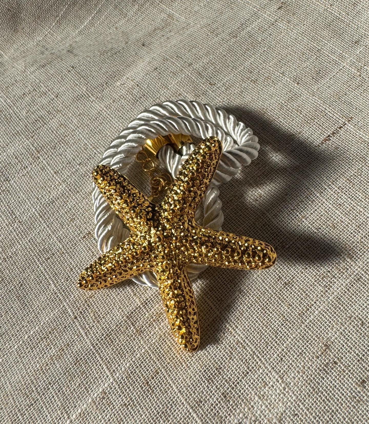 Starfish on a Rope