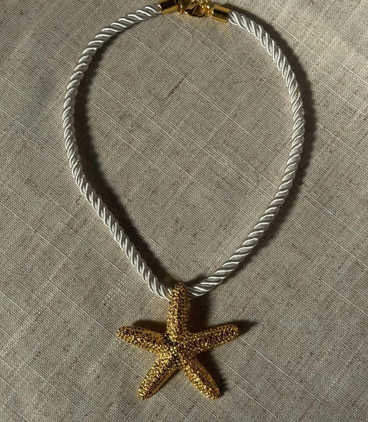 Starfish on a Rope