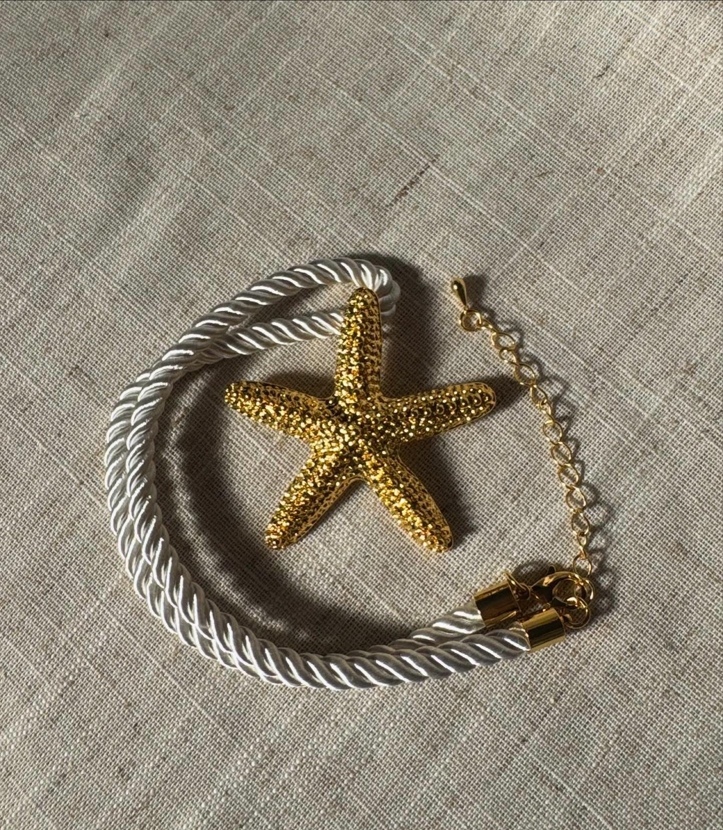 Starfish on a Rope